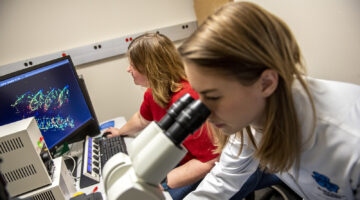 Photo of Clarrisa Henry at a computer monitor and Graduate student Elisabeth Kilroy looking into a microscope in the Hitchner Lab