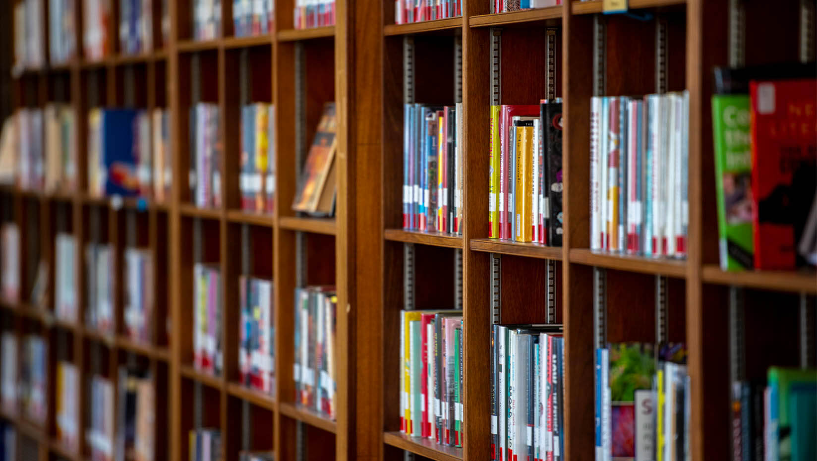 A photo of books on a shelf