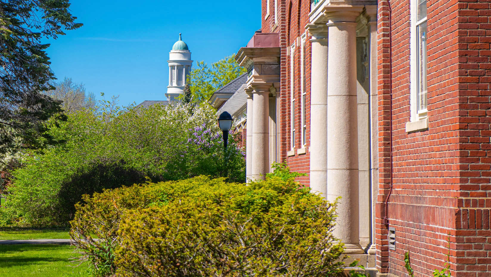 A photo of the Stevens Hall cupola