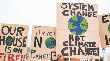 A photo of protest signs urging action to combat climate change