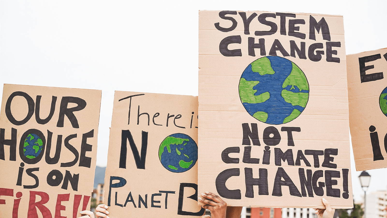 A photo of protest signs urging action to combat climate change