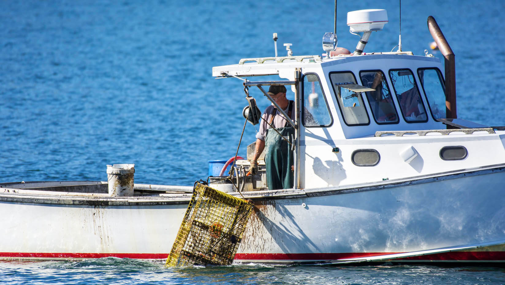 A photo of a lobster trap being hauled on to a boat