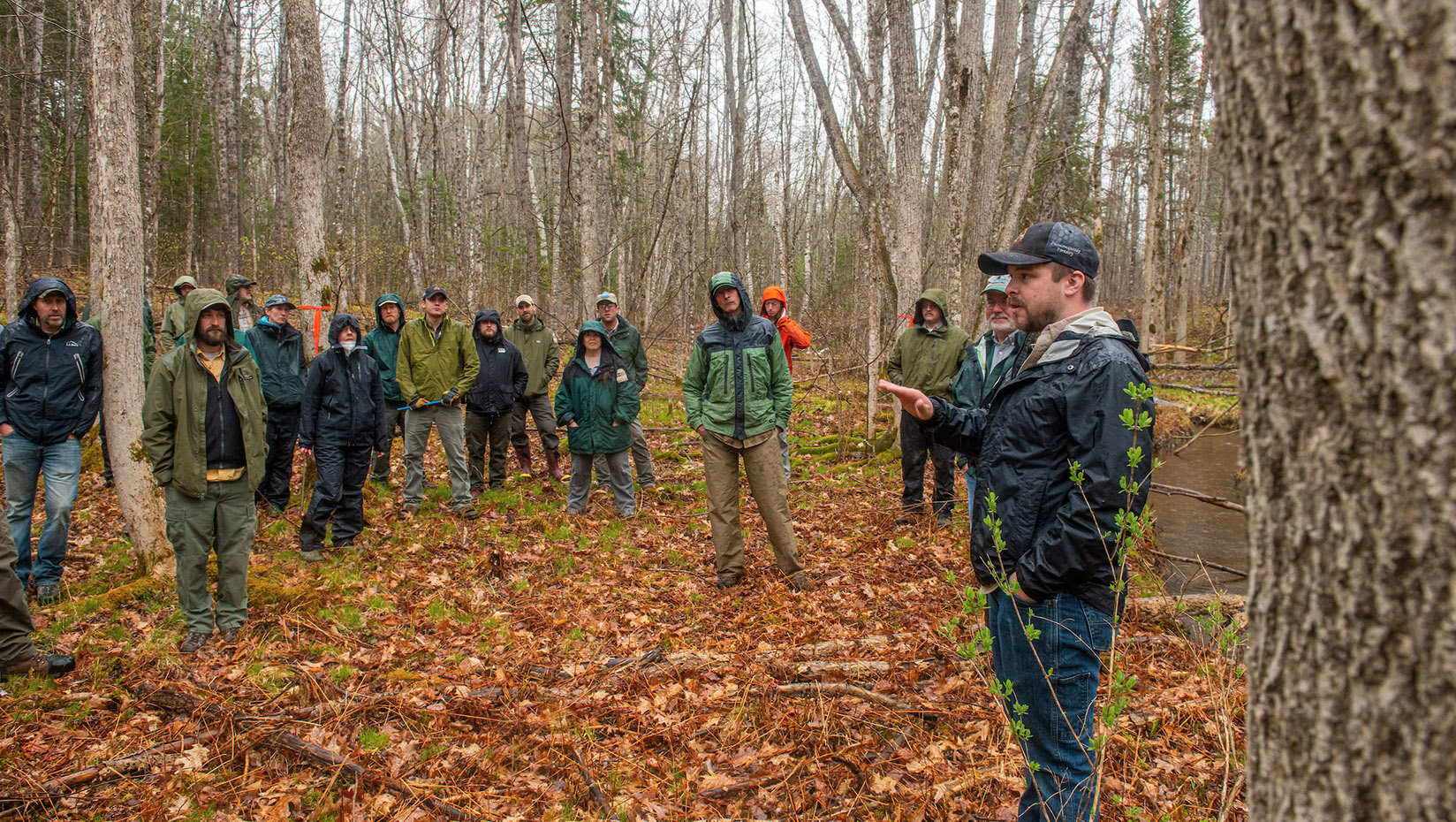 Emerald ash borer workshop