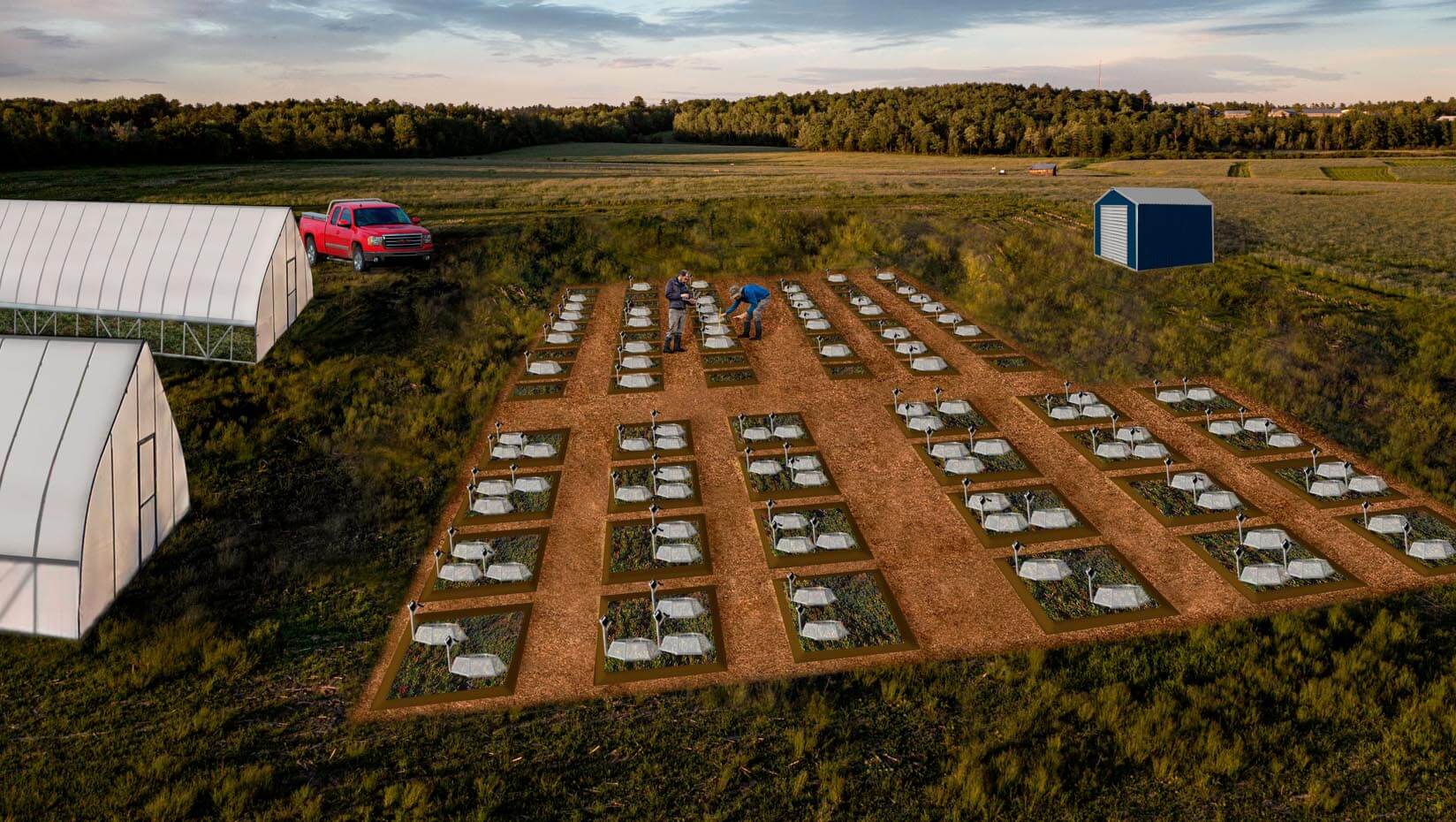 Landscape rendering of the future Wyman’s Wild Blueberry Research and Innovation Center. 