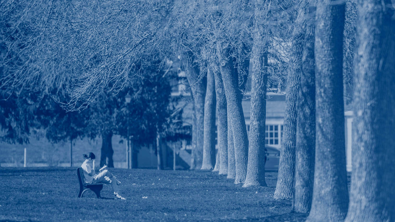 A photo of a person sitting on a bench on UMaine's Mall