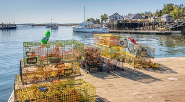 A photo of lobster traps on a dock on the coast of Maine