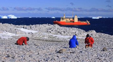 A photo of three people collecting rocks on the coast of Antarctica