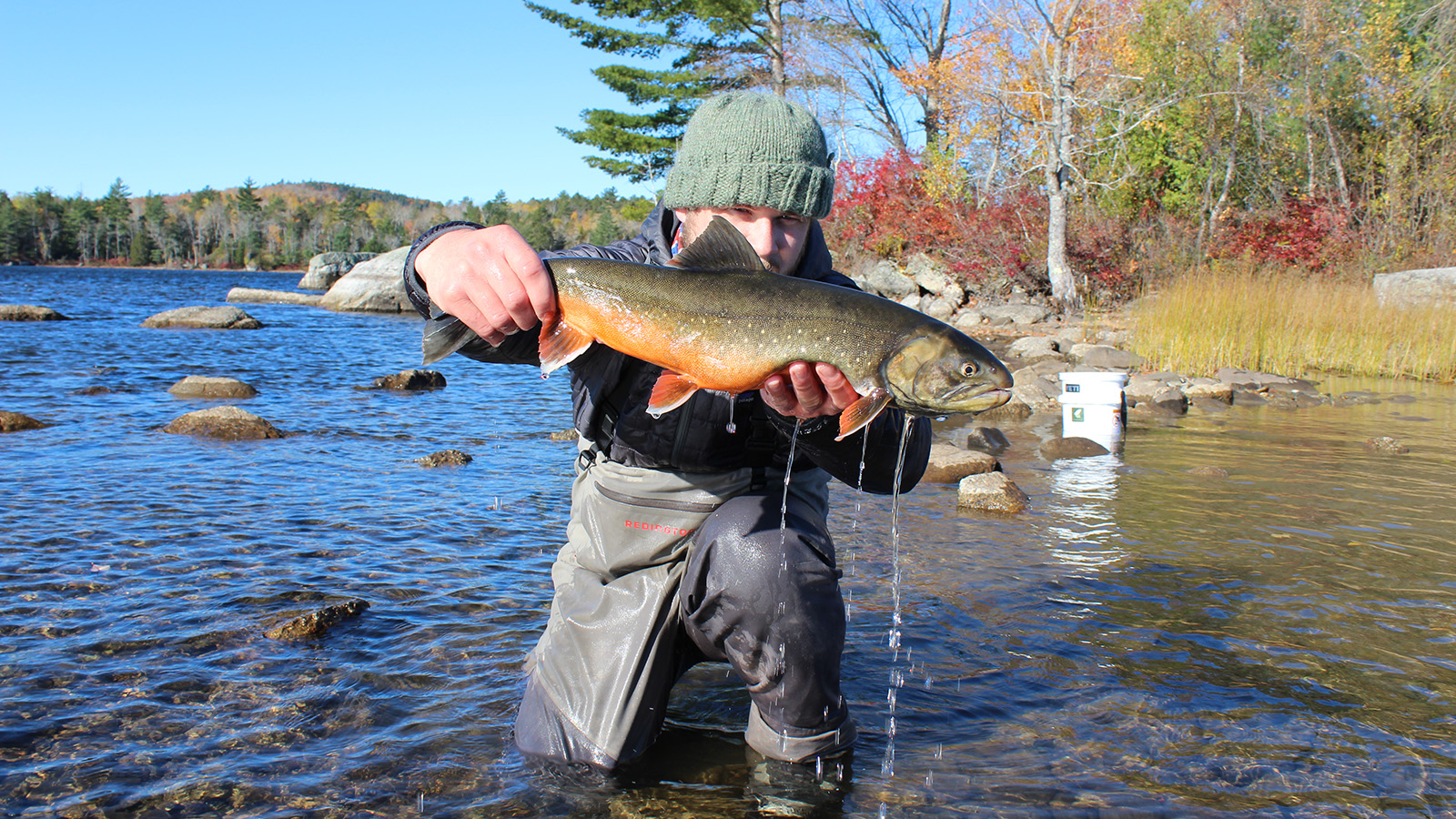 UMaine, UNH researchers to study how foraging adaptations affect Arctic charr resilience or vulnerability to climate change - UMaine News - University of Maine - University of Maine