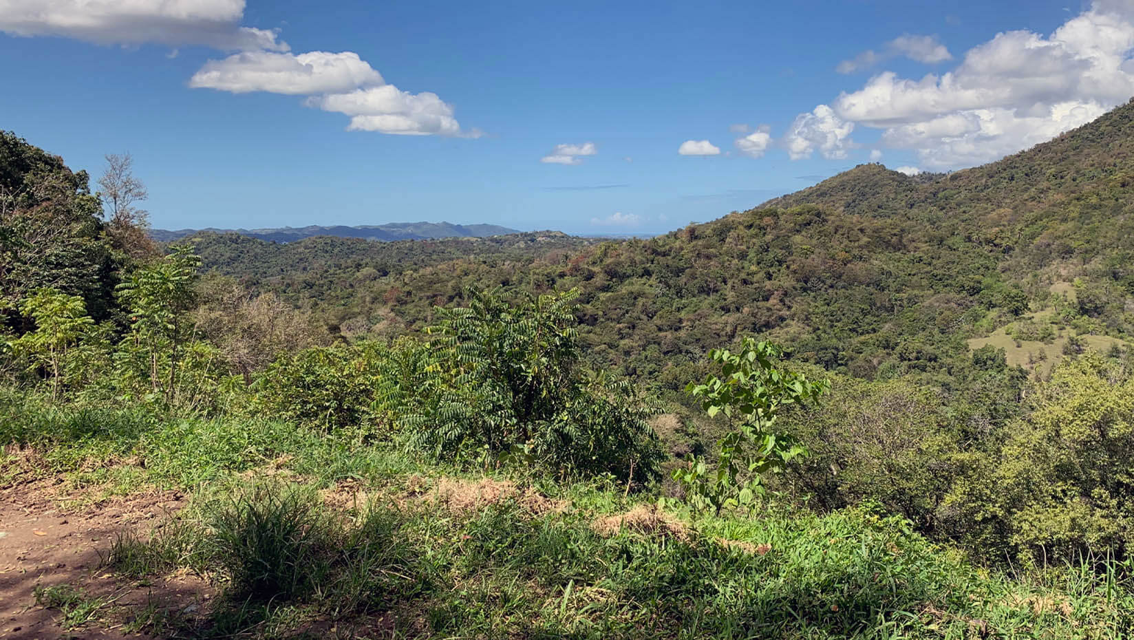 Photo of the National Science Foundation National Ecological Observatory Network site located in the Rio Cupeyes watershed in Puerto Rico in 2019.