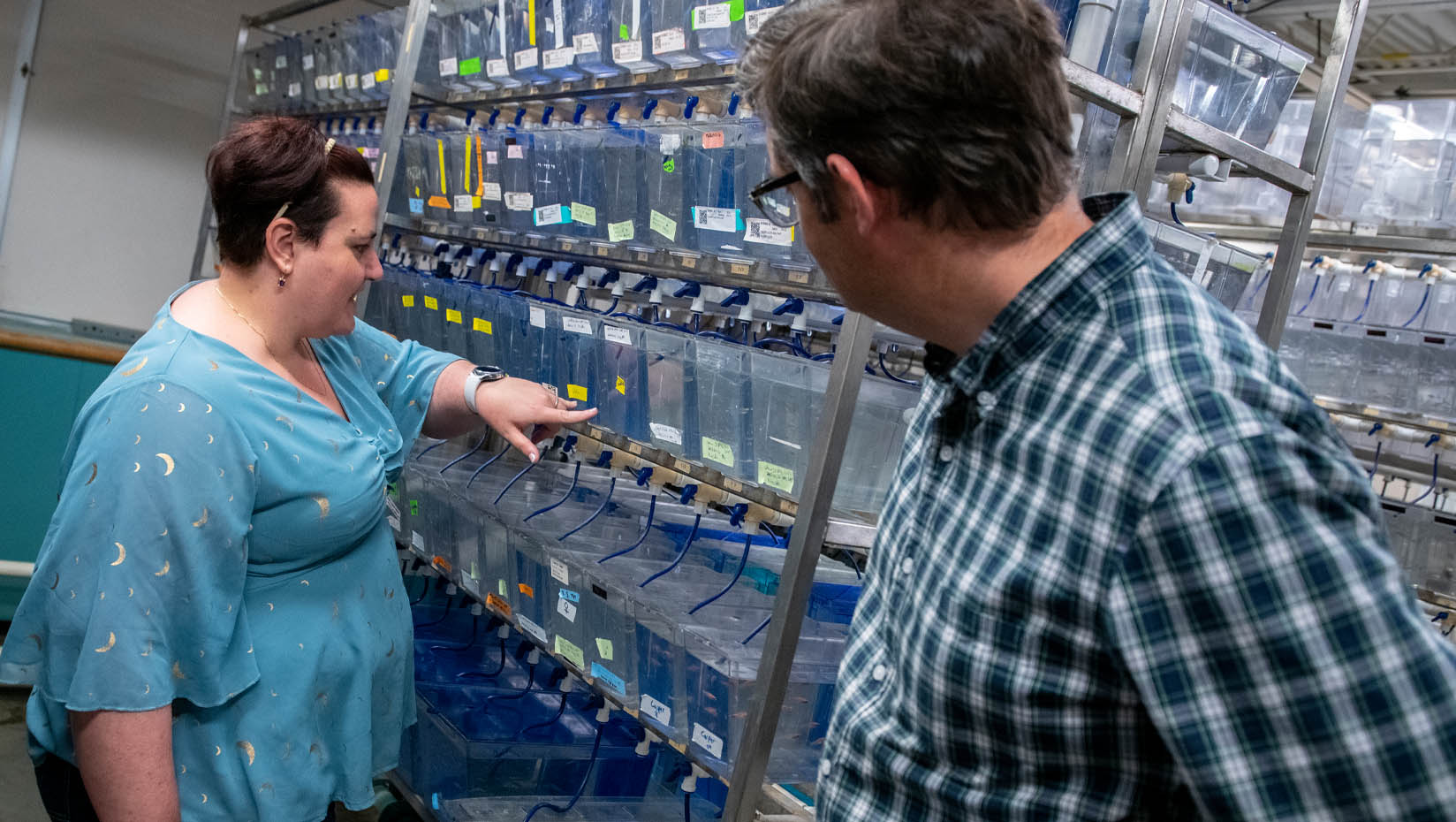 A photo of two researchers in UMaine's zebrafish facility