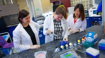 A photo of a trio of UMaine researchers work on a project in the lab.