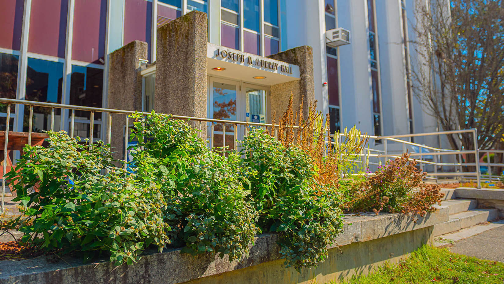 A photo of a garden in front of Murray Hall