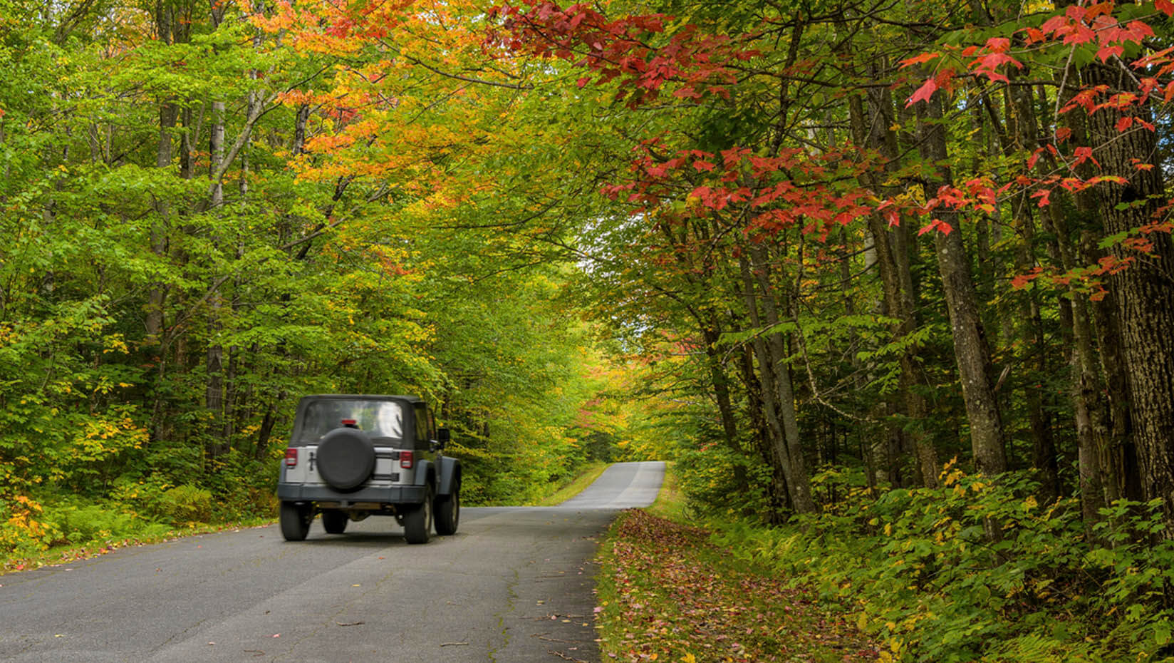 A photo of a Jeep driving on a rural Maine road