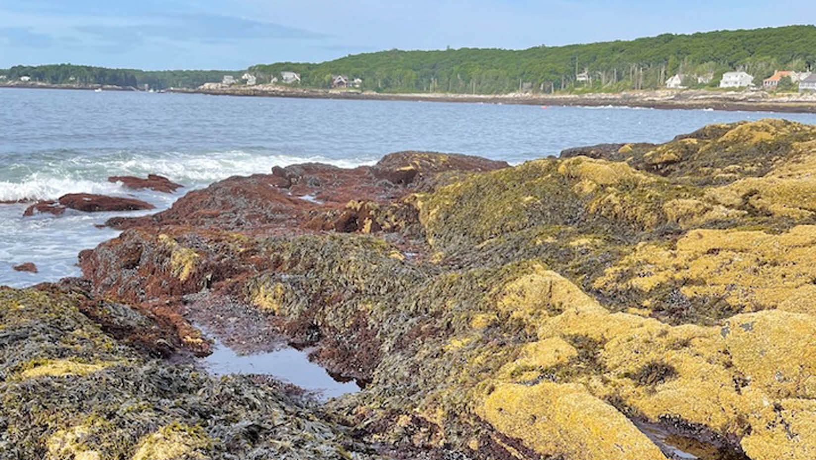 A photo of the rocky Maine coast