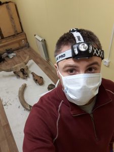 Alessandro Mereghetti stands beside a mammoth tusk and the skulls of a steppe bison and horse in a room in Yakutsk, Republic of Sakha, in 2019. 