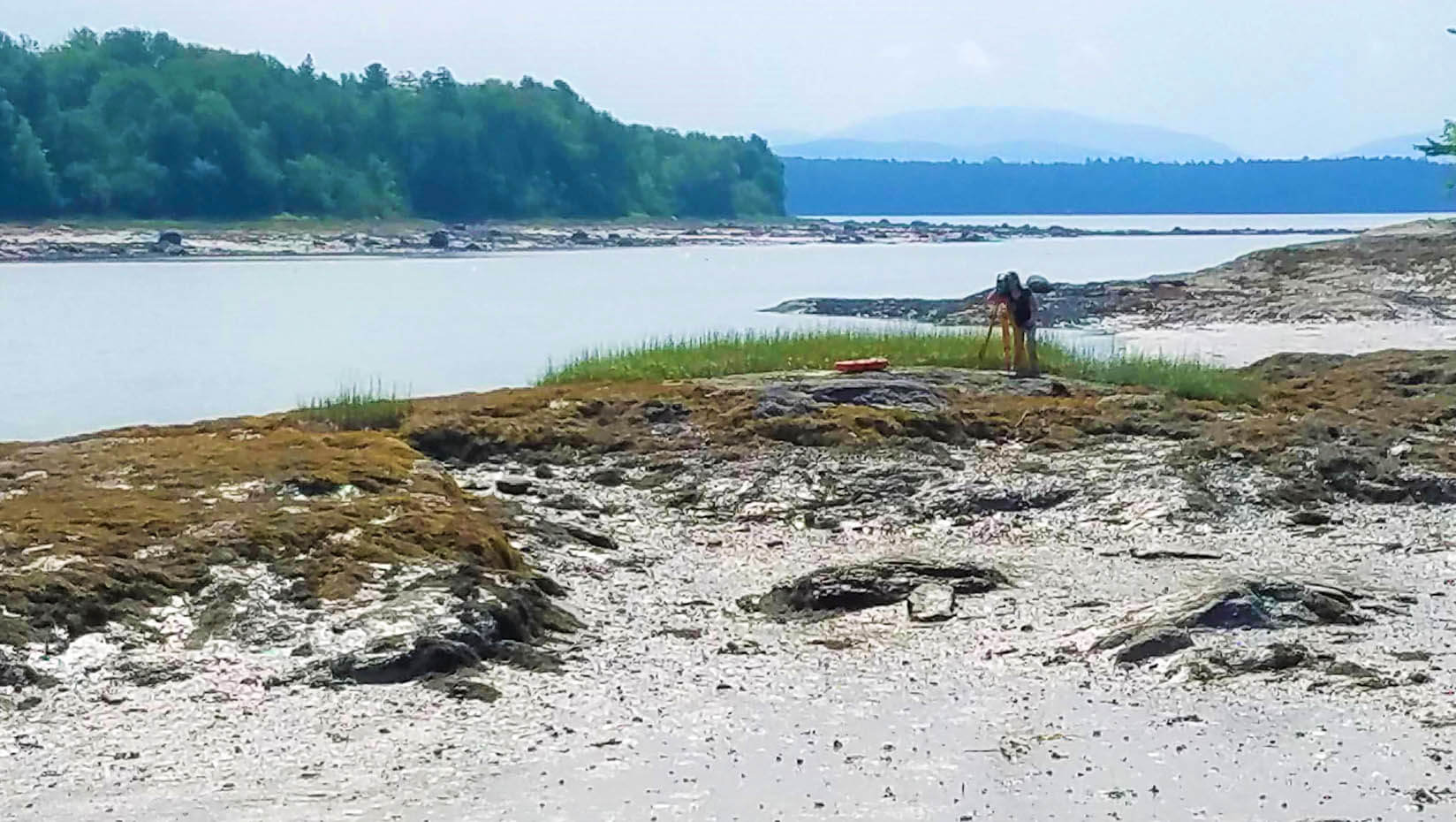 A photo of a person in an estuary with a mountain in the background