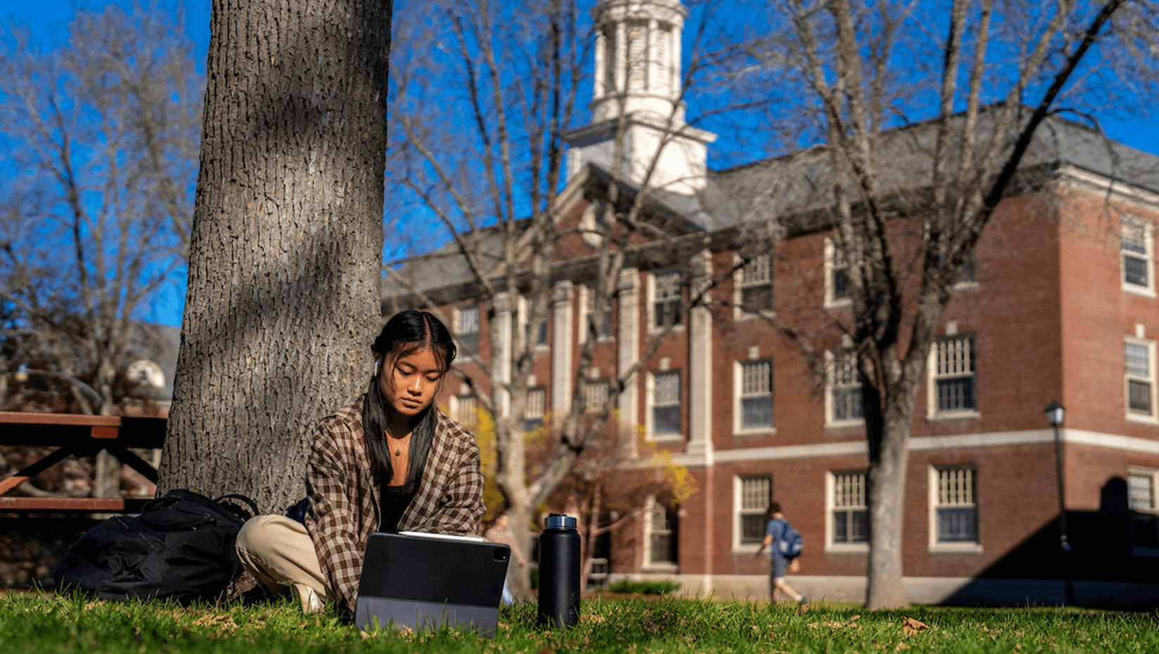 A photo of a student sitting in the grass on her laptop