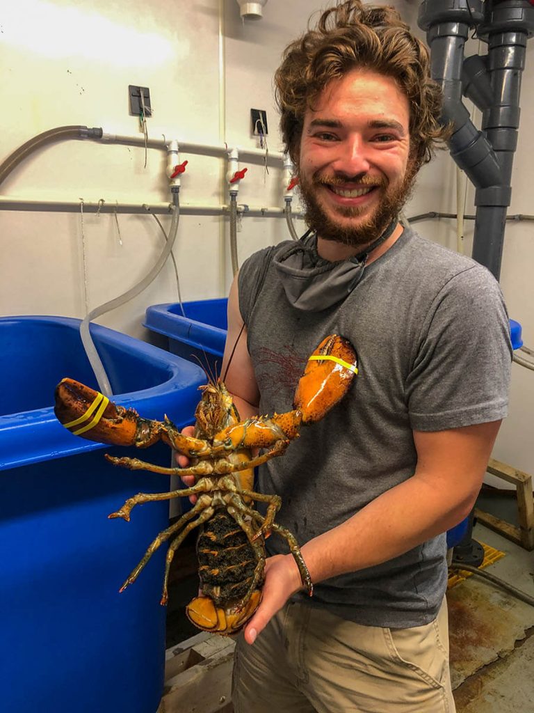 A photo of Alex Ascher holding a lobster