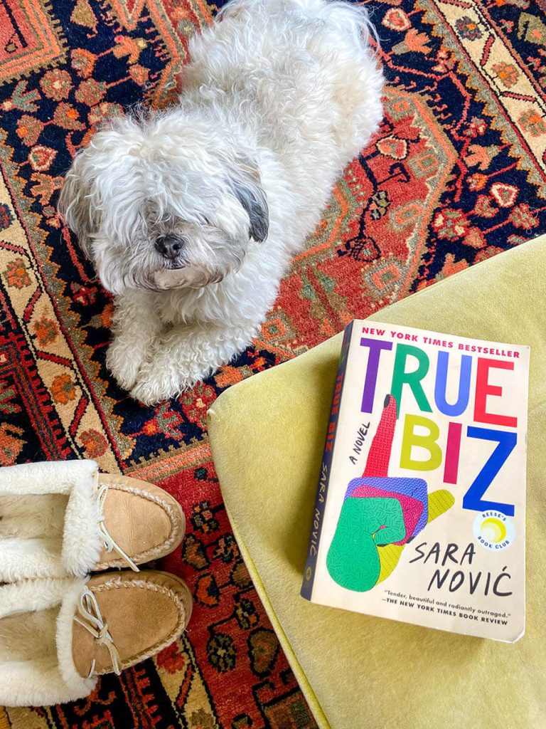 A photo of a book, slippers and a little white dog