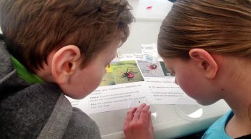 A photo of two children looking at a tick