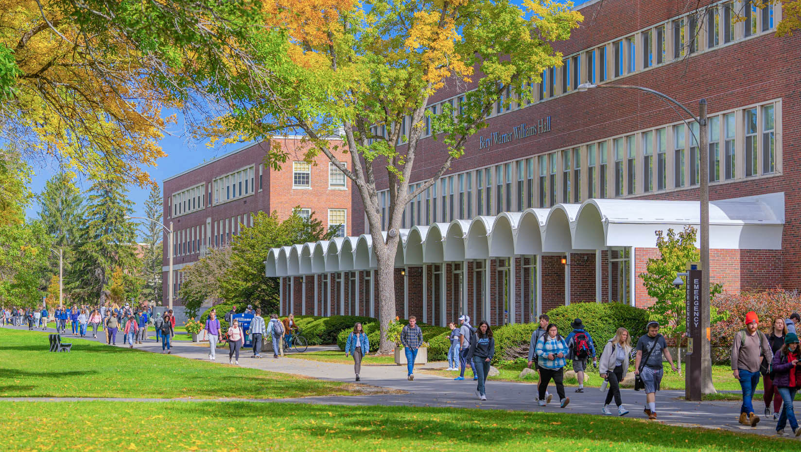 UMaine featured in Fiske Guide to Colleges 2024 - UMaine News