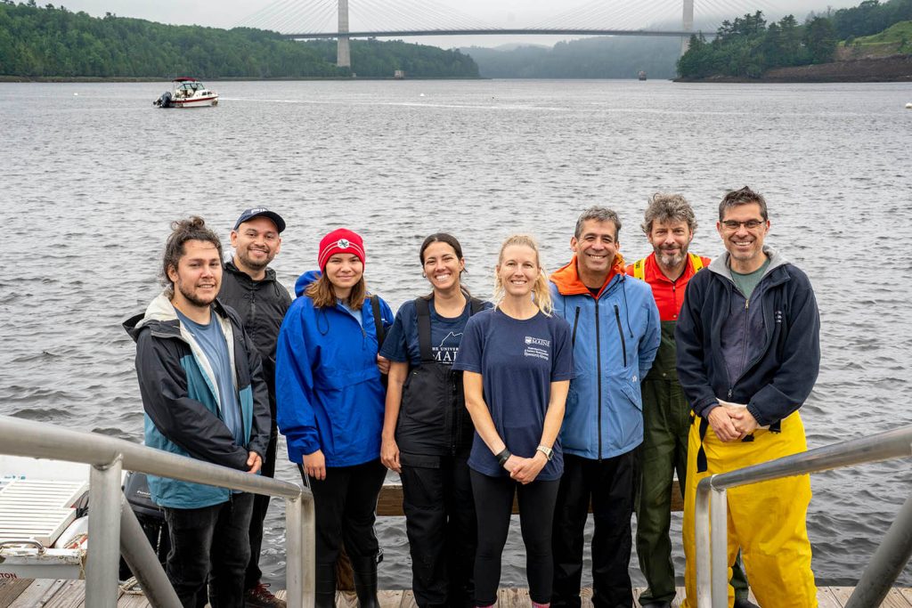 Foto de Lauren Ross con estudiantes y compañeros científicos en la costa de Maine