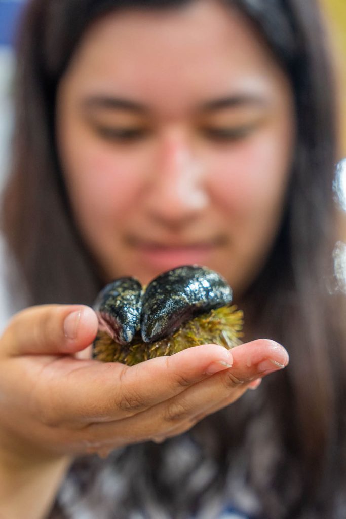 A photo of Katarina Minas looking at a mussel