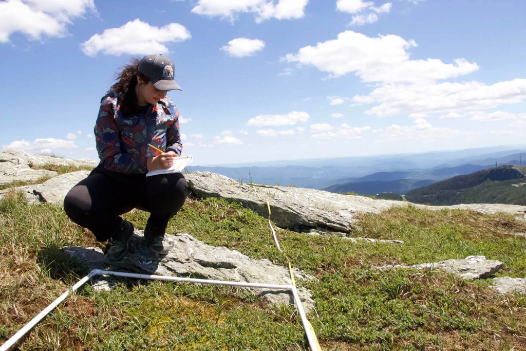 A photo of a woman conducting research on the top of a mountain