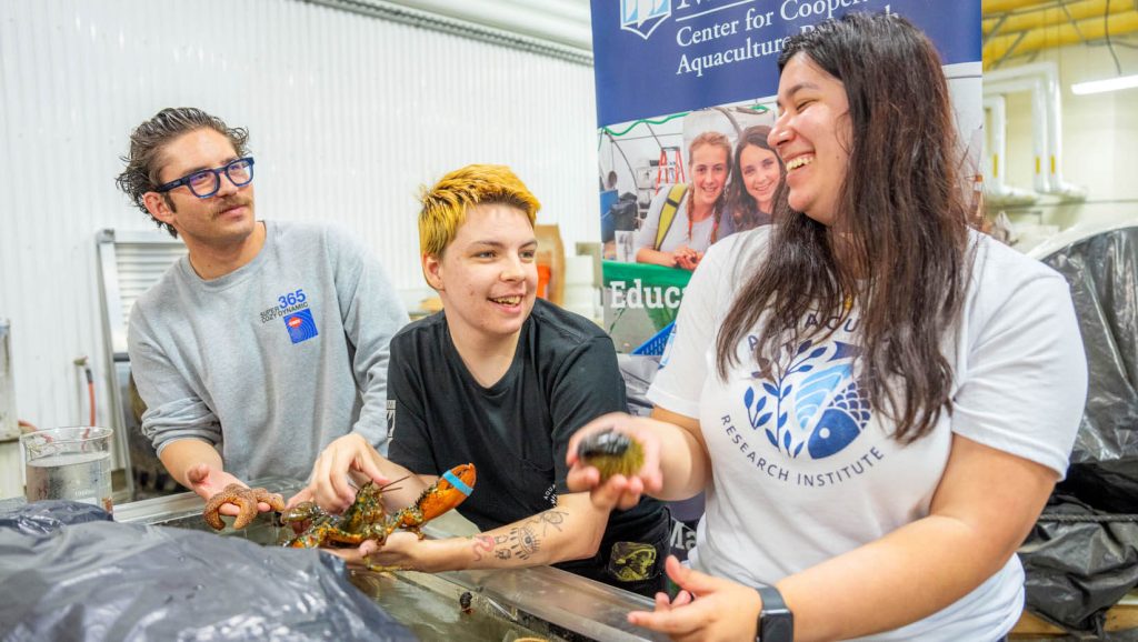 A photo of three people holding sea creatures above a tank