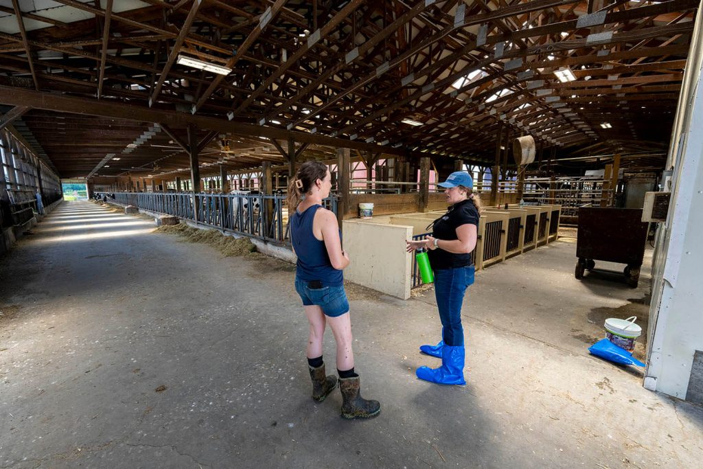 A photo of two people standing in a barn