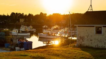 A photo of a Maine harbor under golden light
