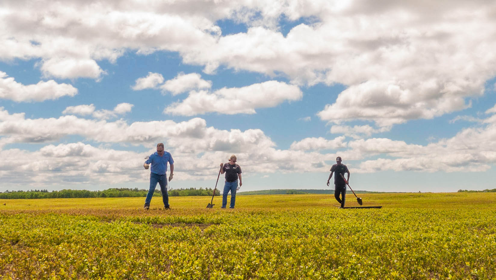 A photo of three people standing in a field
