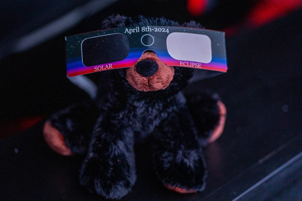 A photo of a small plush black bear stuffed animal wearing solar eclipse glasses
