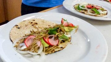 A photo of a taco made with edible insects