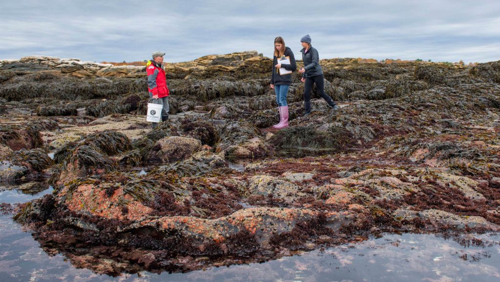 A photo of Bob Steneck teaching on the Maine coast