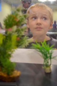 A photo of a kid near a tank