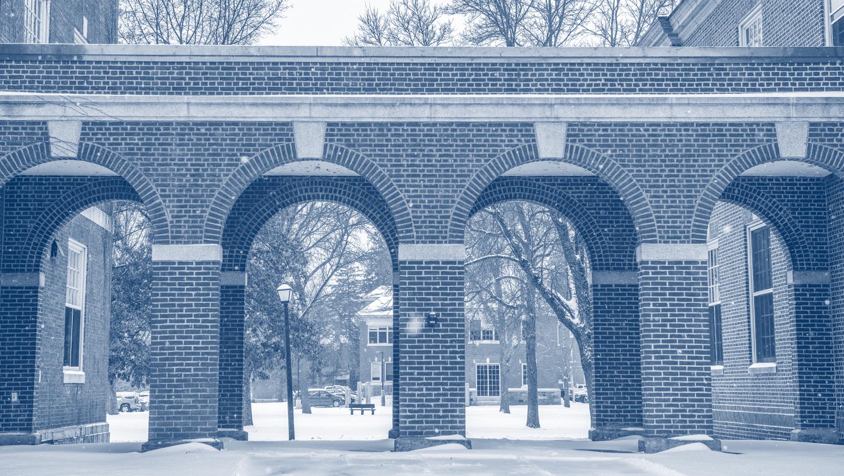 A photo of Stevens Hall's arches