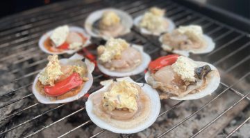 A photo of scallops on the half shell.
