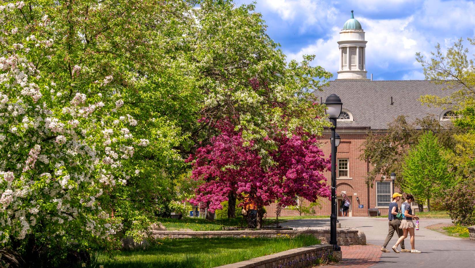 A photo of campus in spring