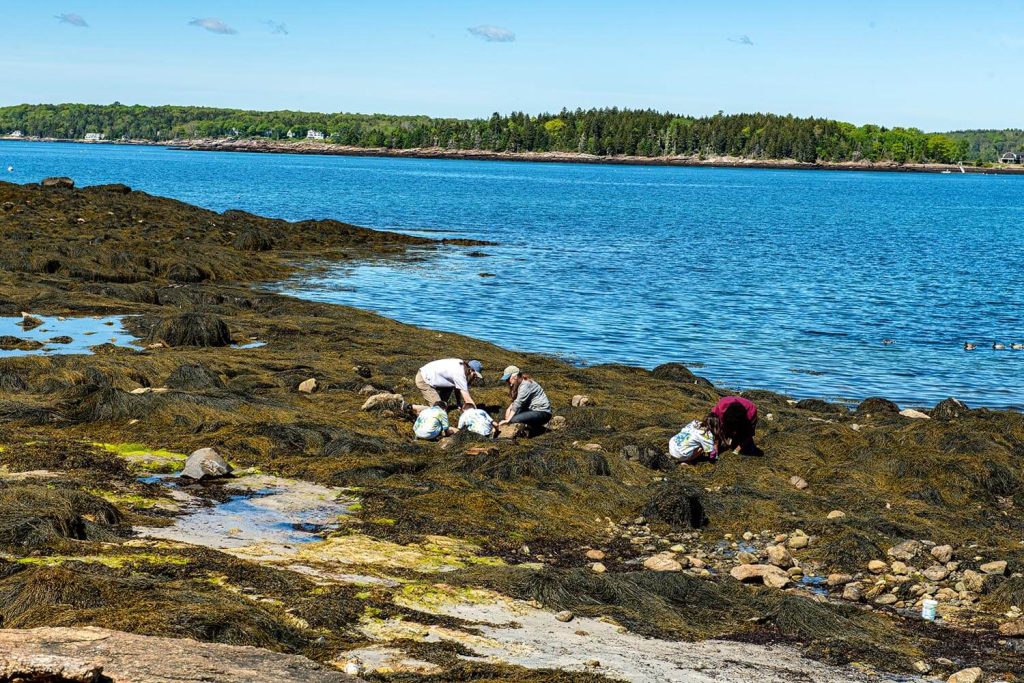 A photo of people on the Maine coast