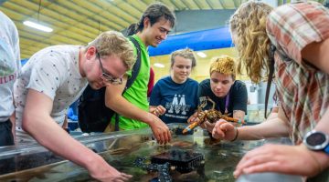 A photo of people standing around a touch tank with one person holding a lobster