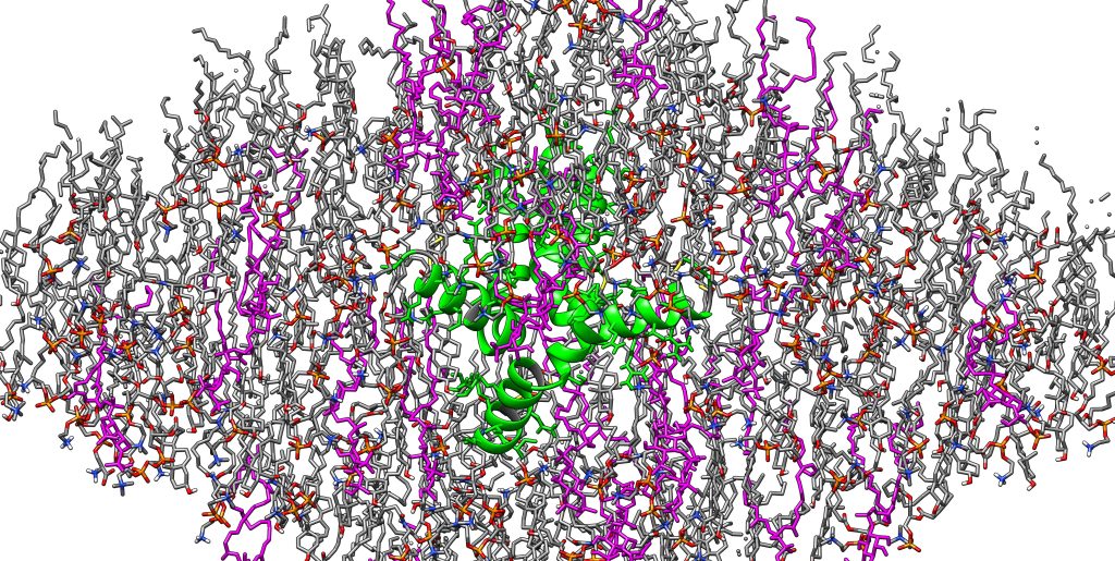 A rendering of the flu virus spike protein