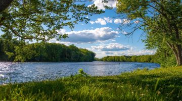 A photo of a Maine river in summer