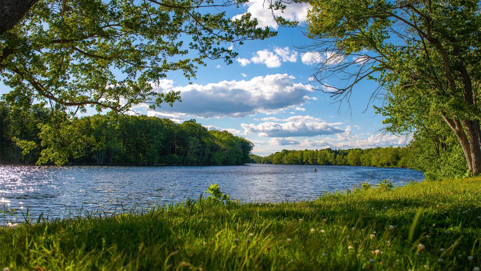 A photo of a Maine river in summer