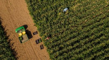 An aerial image of a field