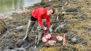 A photo of a person on the coast of Maine