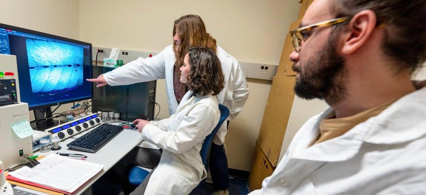 A photo of two grad students and a professor in a lab