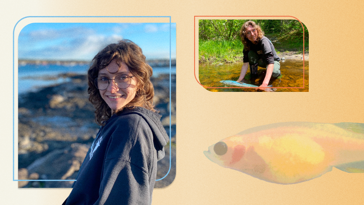 An image collage featuring an image of Lillian Warwick.