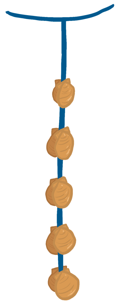 An illustration of an ear hanging