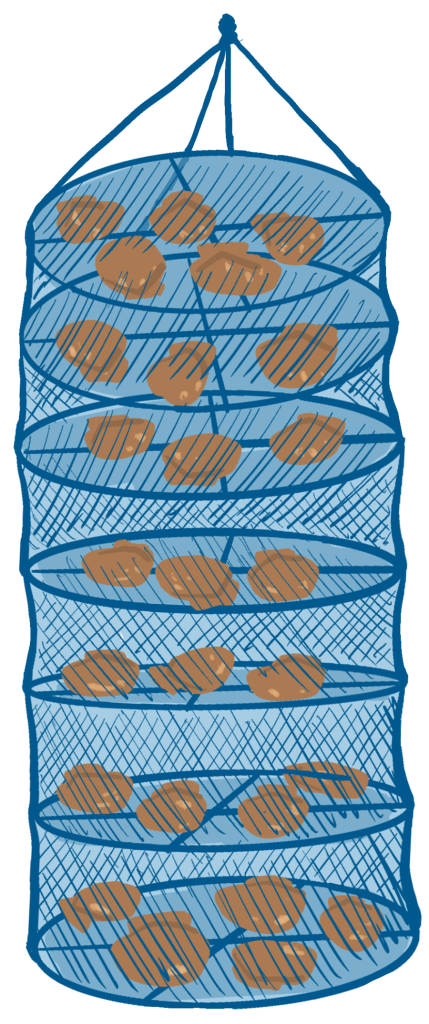 An illustration of a lantern net graphic.